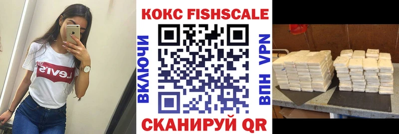 Купить закладки  Нижняя Тура  КОКАИН FishScale 